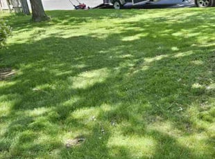 Jay W.'s Lawn Care service result