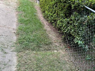 Verna D.'s Lawn Mowing service result
