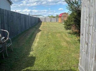 Tawana L.'s Lawn Mowing service result