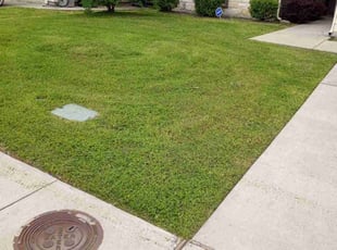 Odiah N.'s Lawn Service service result