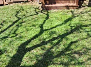 Rebecca E.'s Lawn Service service result