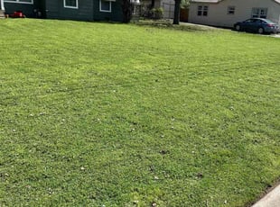 Alycia H.'s Lawn Mowing service result