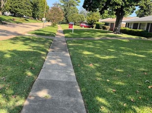 Carita H.'s Lawn Service service result