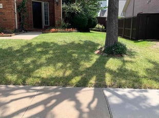 Chris T.'s Lawn Service service result