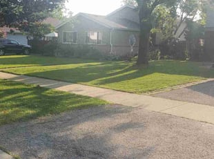 Michael D.'s Lawn Care service result