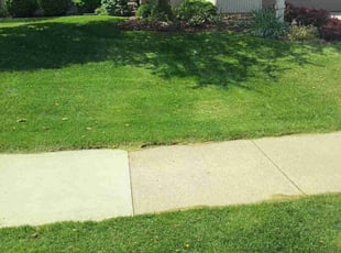 Derek B.'s Lawn Mowing service result