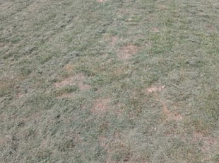 Cleanups by Denzel Hill for Lindsey N. in Greensboro, NC