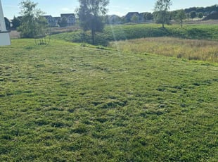 Beth E.'s Lawn Mowing service result
