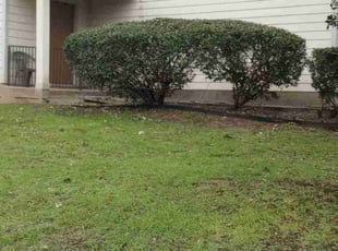 Bush Trimming by Jason Salazar for Warrianor J. in San Antonio, TX