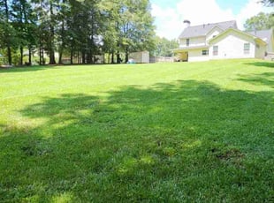 Morgan R.'s Lawn Service service result