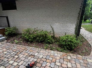 Thi D.'s Bush Trimming service result