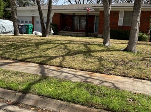 Leaf Removal by Alexander Flores for Kristi K. in Denton, TX