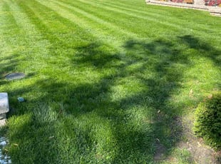 Heather G.'s Lawn Mowing service result