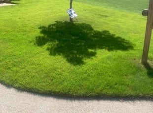 Cynthia C.'s Lawn Care service result