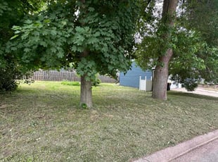 George M.'s Lawn Mowing service result
