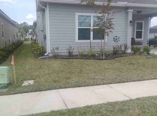 Angelique A.'s Lawn Mowing service result