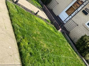 Jennifer W.'s Lawn Service service result