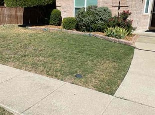 Bush Trimming by Glen Lout for Gloria D. in McKinney, TX