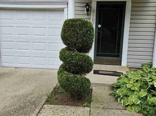 Josh G.'s Bush Trimming service result