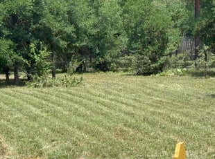 Nicole M.'s Lawn Maintenance service result