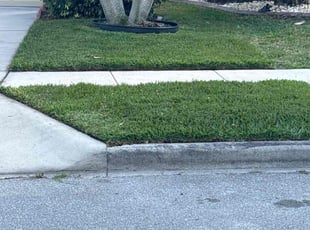 Marty W.'s Lawn Service service result