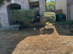 Bush Trimming by Lacy Dixon for Julia S. in San Antonio, TX
