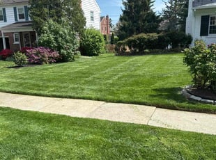 Michele M.'s Lawn Service service result