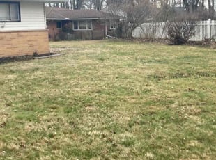 Leaf Removal by Ricky Bennett for Megen G. in Timberlake, OH
