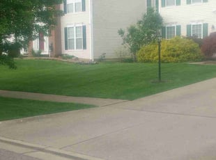 Sara M.'s Lawn Mowing Service service result