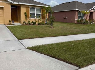 Neil B.'s Yard Cutting service result