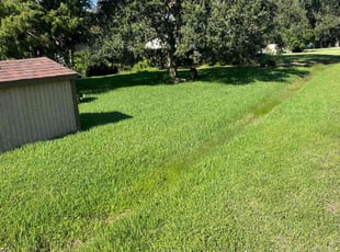 Jason K.'s Grass Cutting service result