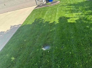 Maura J.'s Lawn Care service result
