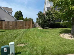 Sean C.'s Yard Cutting service result