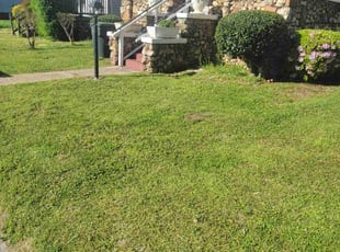 Lisa C.'s Lawn Mowing service result