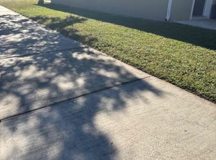 Kelsey B.'s Lawn Mowing service result
