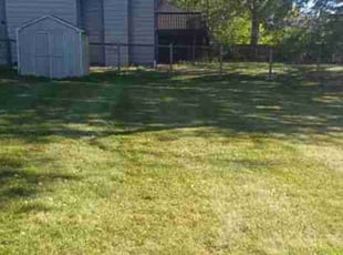 Leaf Removal by Ayo Borsey for Peter S. in Minneapolis, MN