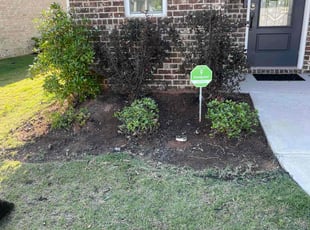 Cleanups by Trevor Guillory for Norma G. in Locust Grove, GA