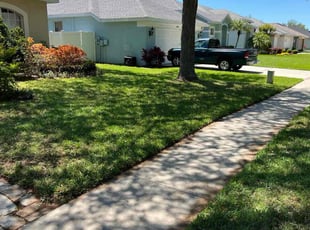 Mike S.'s Grass Cutting service result
