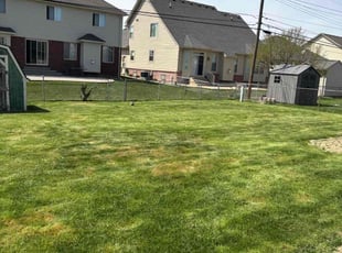 Cleanups by Timothy Muir for Tim T. in Sterling Heights, MI