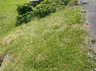 Scott B.'s Grass Cutting service result