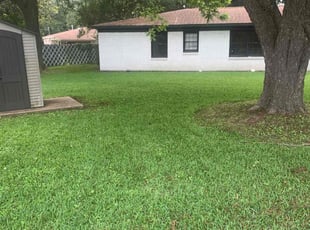 Susie P.'s Yard Cutting service result