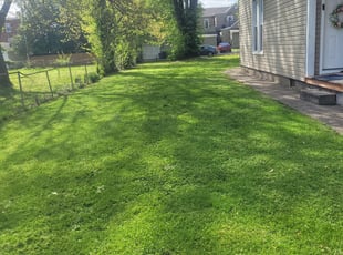 Bruce T.'s Lawn Mowing service result