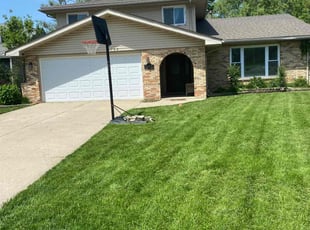 Riona E.'s Yard Cutting service result