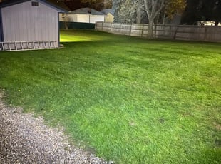 Leaf Removal by Mickey Chounramany for Elizabeth H. in Canton, OH