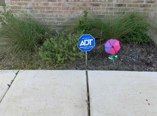 Weeding by Andrew Garza for Mary G. in San Antonio, TX