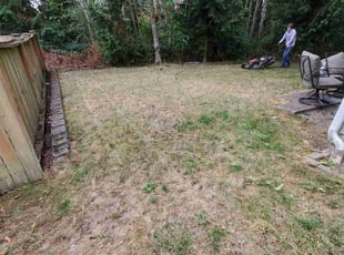 Leaf Removal by Coben Varland for Garnett B. in Lynnwood, WA