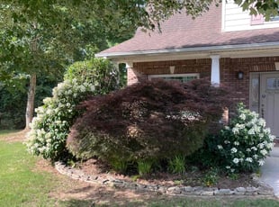 Bush Trimming by Elvis Pasic for Suzanne V. in Lawrenceville, GA