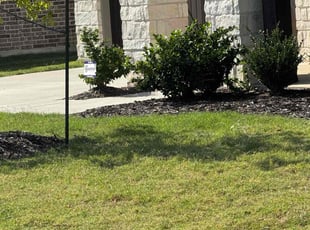 Weeding by Quentin Morgan for Ann M. in Celina, TX
