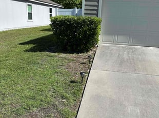 Bush Trimming by Steven Newman for Sarah V. in Middleburg, FL