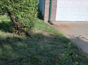 Bush Trimming by Lamonee Jackman for Mark C. in Omaha, NE